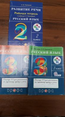 Рабочие тетради по русскому языку за 2,3 класс к учебнику Рамзаевой Т.Г.